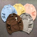 Am1 Sweater