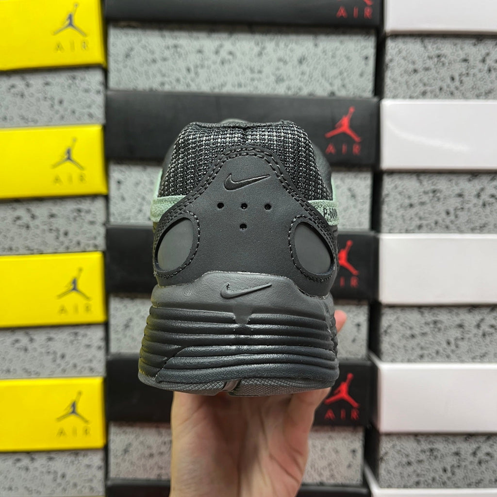 Nk P-6000