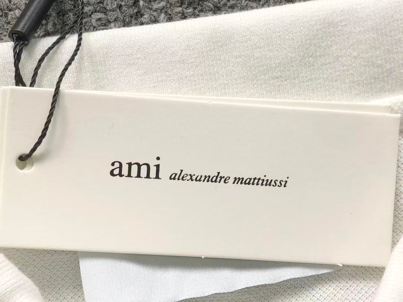 Am1 Polo