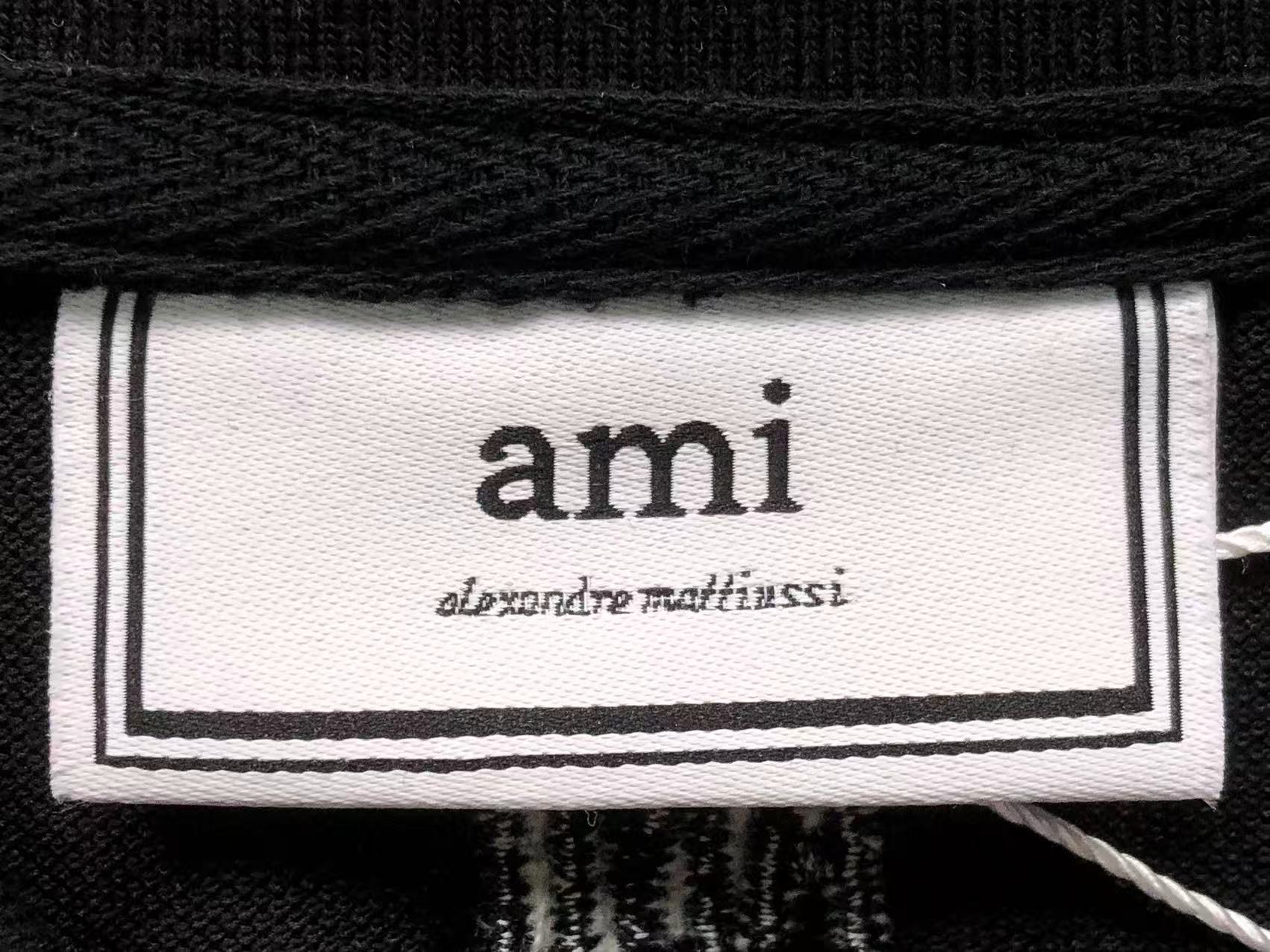 Am1 Polo