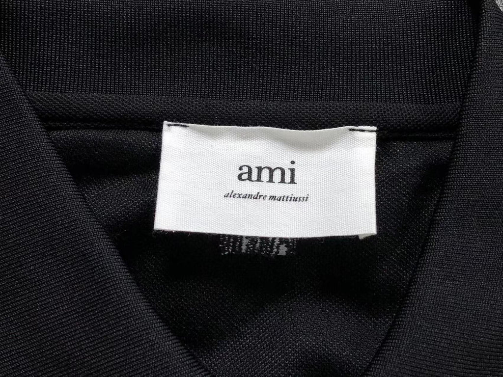 Am1 Polo