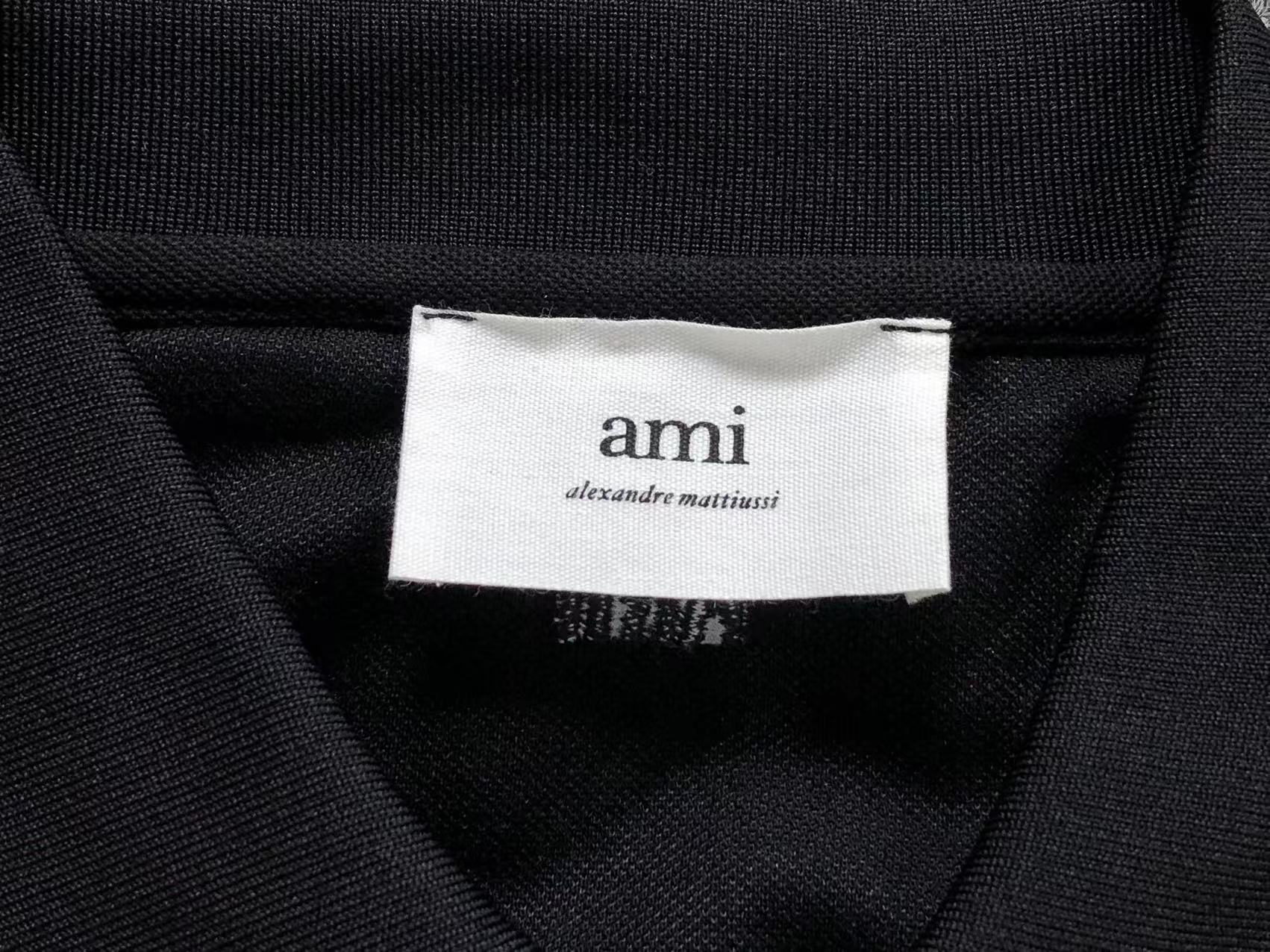 Am1 Polo