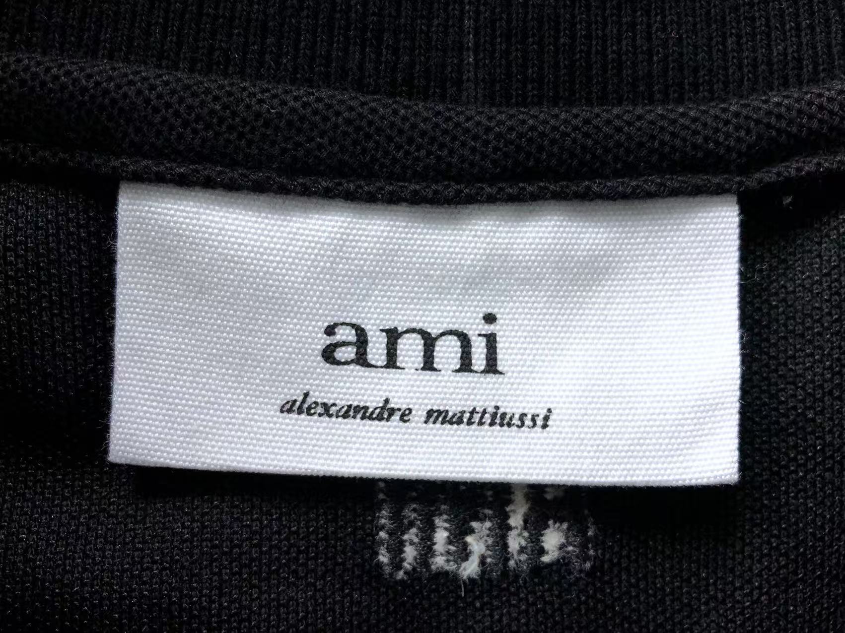 Am1 Polo